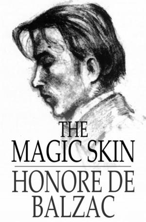 Book cover of The Magic Skin