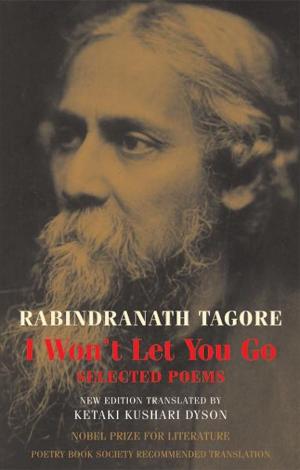 Cover of the book I Won't Let You Go by John Agard