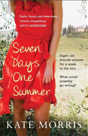 bigCover of the book Seven Days One Summer by 