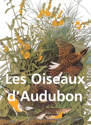 Cover of the book Les Oiseaux d'Audubon by Edmond de Goncourt