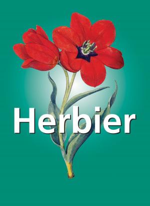 Cover of the book Herbier by Никодим Павлович Кондаков