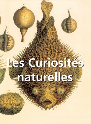 Cover of the book Les Curiosités naturelles by Octave Uzanne