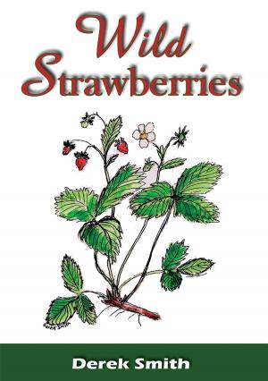 Book cover of Wild Strawberries