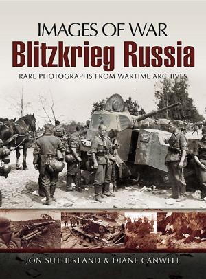 Cover of the book Blitzkrieg Russia by Richard B Mead