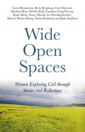 Cover of the book Wide Open Spaces by Paul Clayton Gibbs