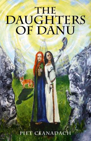 Cover of the book The Daughters of Danu by Hilary Hart