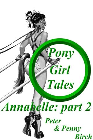 Cover of the book Pony-Girl Tales - Annabelle: Part 2 by K T Red