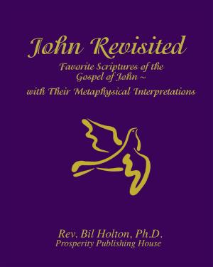 Cover of John Revisited: Favorite Scriptures of the Gospel of John With Their Metaphysical Interpretations