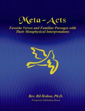 Cover of the book Meta-Acts: Favorite Verses and Familiar Passages with Their Metaphysical Interpretations by 藍白拖