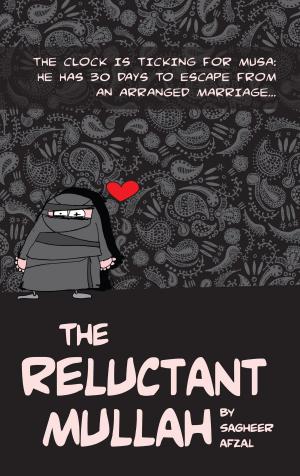 Cover of the book The Reluctant Mullah by Andrew Shaffer