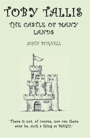 Cover of the book Toby Tallis and the Castle of Many Lands by S C Alley