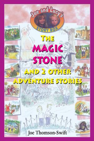 Cover of the book The Magic Stone by Michael J. Cole