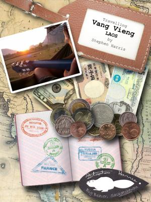 Book cover of Travelling Vang Vieng (Big Beaver Diaries)