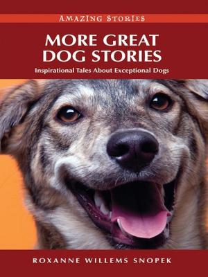 Cover of the book More Great Dog Stories: Inspirational Tales About Exceptional Dogs by Theodore Fontaine