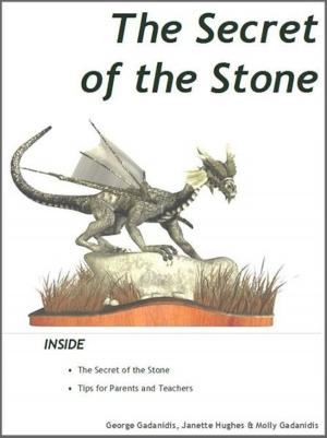 Book cover of The Secret of the Stone