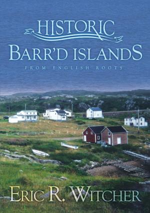 Book cover of Bay Roberts: Not Your Typical Small Town