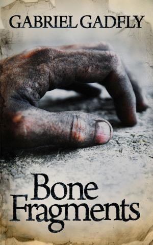 Cover of the book Bone Fragments by Jason Micheal Dunn