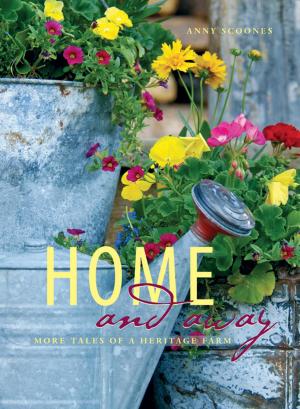 Cover of the book Home and Away by Debbie Harding