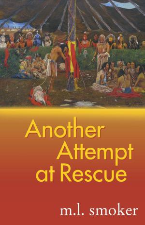 bigCover of the book Another Attempt at Rescue by 