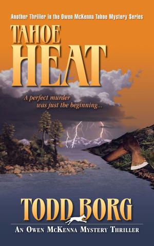 Book cover of Tahoe Heat