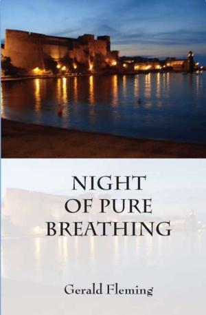 Cover of the book Night of Pure Breathing by Corinna Melville, Anne Dehne