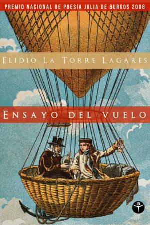 Cover of the book Ensayo del vuelo by Hugh Fox