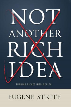 Cover of the book Not Another Rich Idea by Glenn D. Frazier