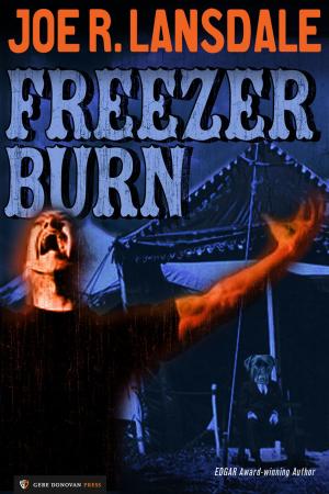 Book cover of Freezer Burn