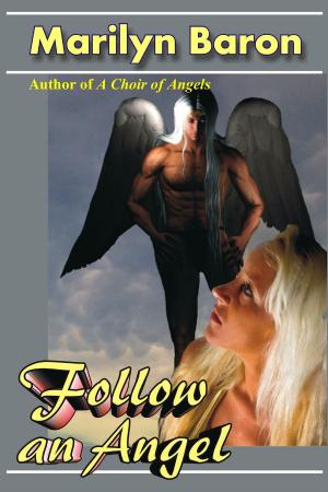 Cover of the book Follow an Angel by Stephen A. Benjamin