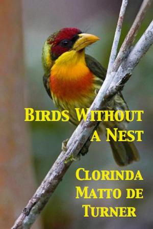 Book cover of Birds Without a Nest