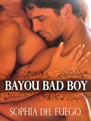 Cover of the book Bayou Bad Boy by Jennifer Britt