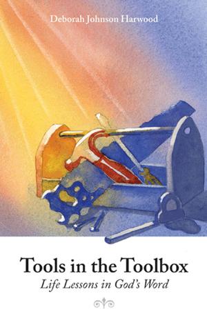 Book cover of Tools in the Toolbox