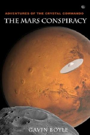 Cover of the book The Mars Conspiracy by James Bottino