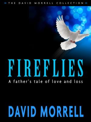 Cover of the book Fireflies by J. Liber