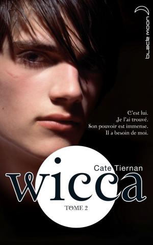 Cover of the book Wicca 2 by Alex Flinn