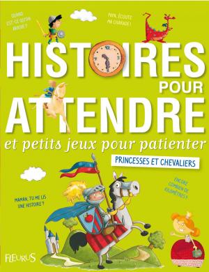 Cover of Histoires pour attendre et petits jeux pour patienter : Princesses et chevaliers