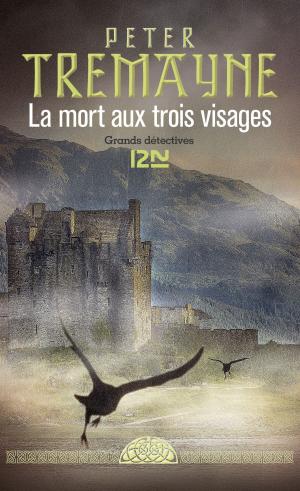 Cover of the book La mort aux trois visages by Kathryn LASKY