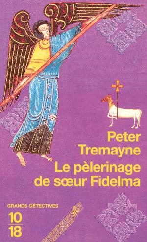 Cover of the book Le pèlerinage de soeur Fidelma by Marie d'Ange