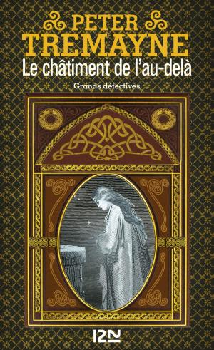 Cover of the book Le châtiment de l'au-delà by Michael REAVES