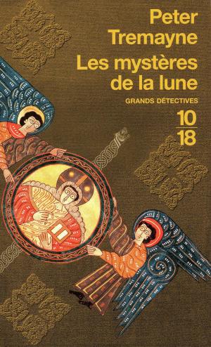 Book cover of Les mystères de la lune