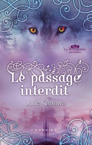 bigCover of the book Le passage interdit by 