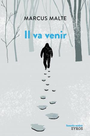 Cover of the book Il va venir by Hubert Ben Kemoun