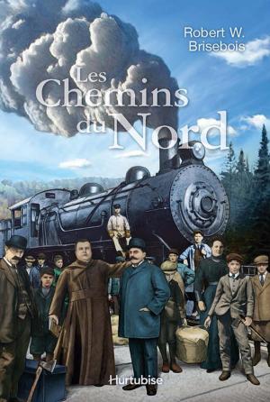 Cover of the book Les Chemins du Nord by Jean-Pierre Charland