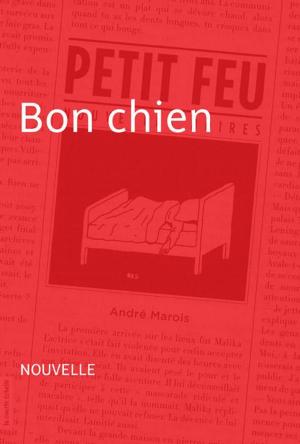 Cover of the book Bon chien by Benoît Bouthillette