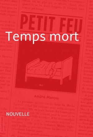 bigCover of the book Temps mort by 