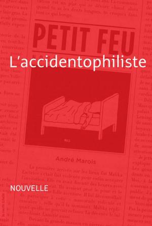 Cover of the book L'accidentophiliste by Matthieu Simard