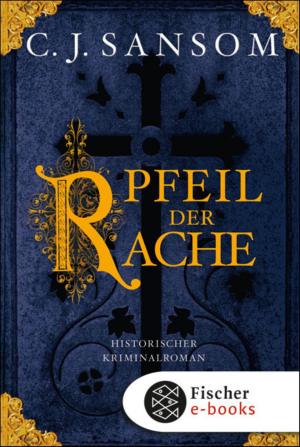 Cover of the book Der Pfeil der Rache by Klaus-Peter Wolf