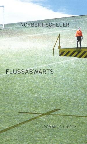 Cover of the book Flußabwärts by Bernd Stöver