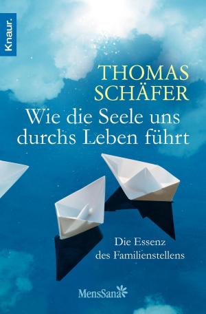 Cover of the book Wie die Seele uns durchs Leben führt by Rhonda Byrne