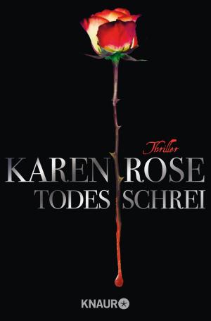 Cover of the book Todesschrei by Lena Johannson